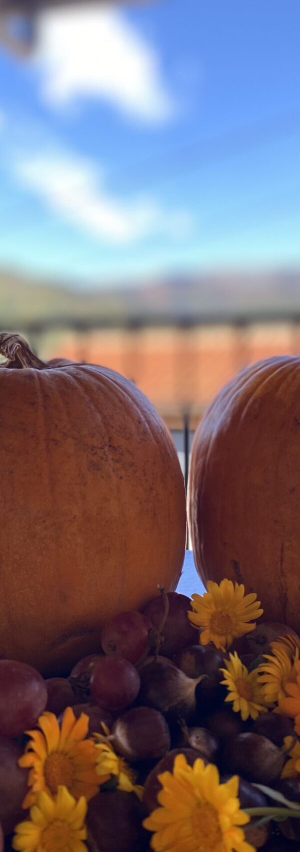 Planes para otoño en asturias